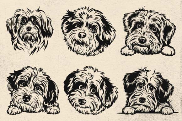 Aussiepoo Svg Vector Graphic Clip Art Review