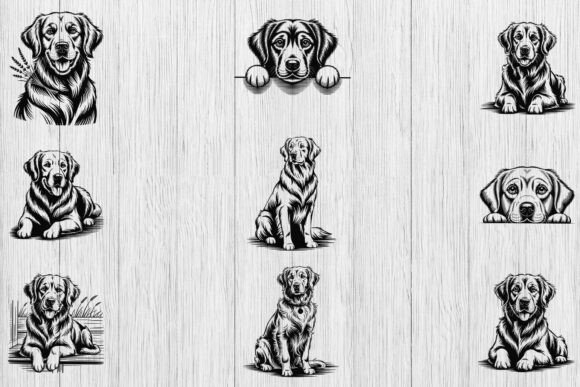 Golden Retriever SVG Bundle Review for Embroidery Projects