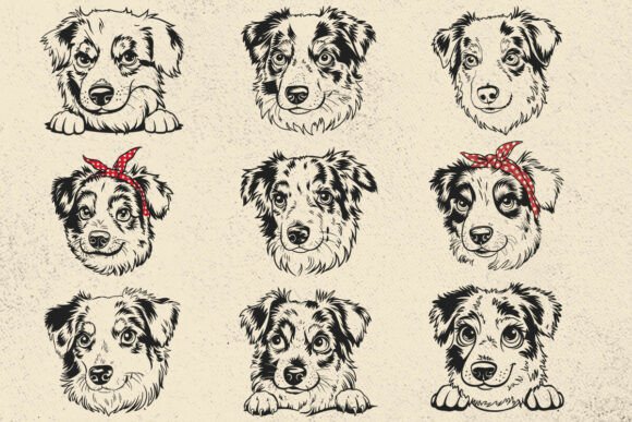 Miniature Australian Shepherd SVG