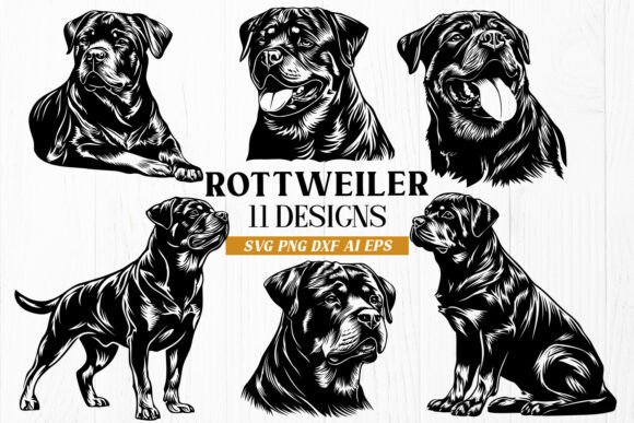 Rottweiler SVG Bundle – 11 Fierce Dog