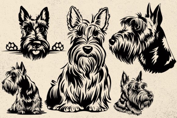 Scottish Terrier Svg for Real Projects